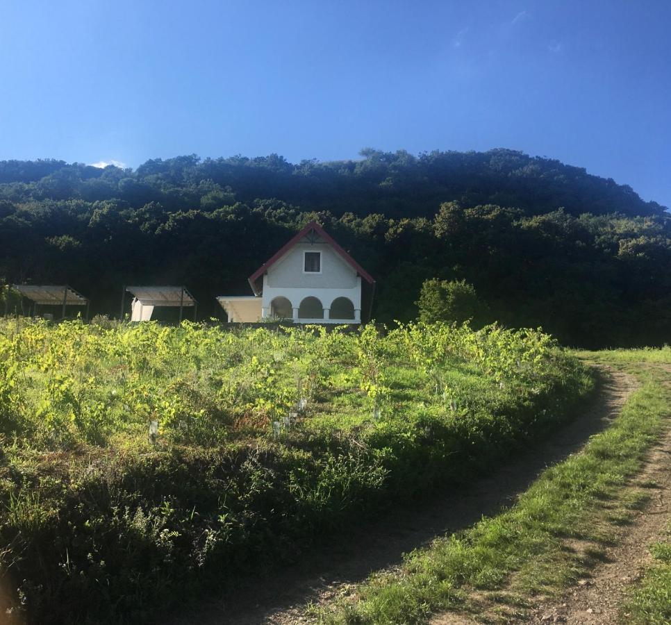 Chateau Segesdi Borapartman Gyulakeszi Eksteriør bilde
